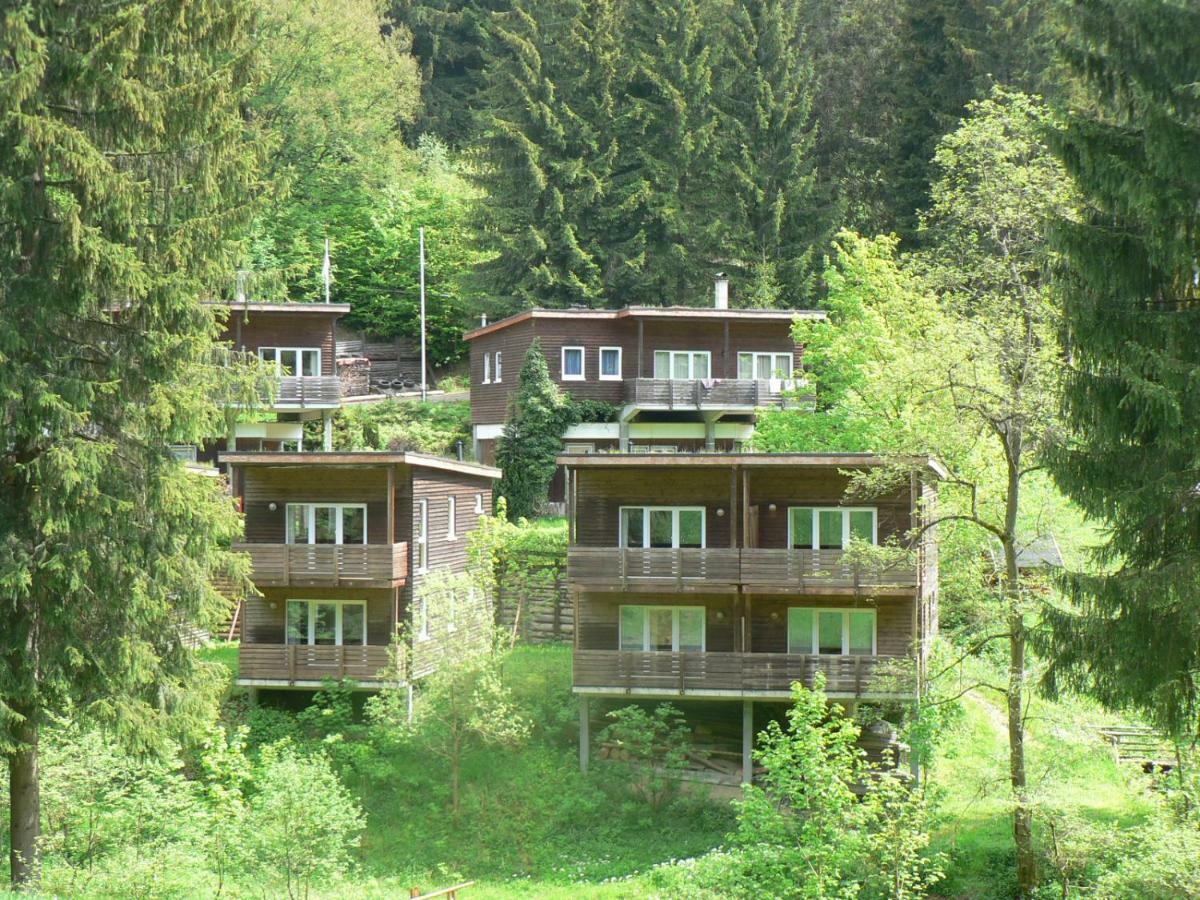 Ferienhaus Bad Hundertpfund Typ C Grossbreitenbach Dış mekan fotoğraf
