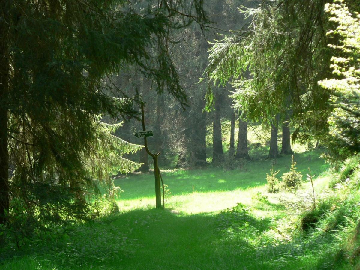 Ferienhaus Bad Hundertpfund Typ C Grossbreitenbach Dış mekan fotoğraf