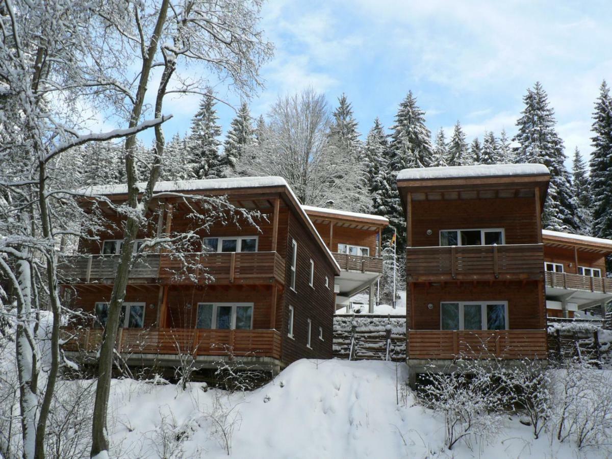 Ferienhaus Bad Hundertpfund Typ C Grossbreitenbach Dış mekan fotoğraf