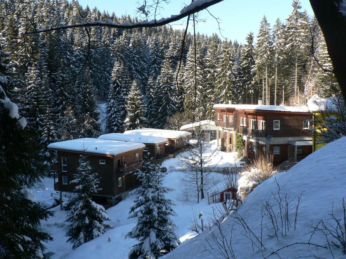 Ferienhaus Bad Hundertpfund Typ C Grossbreitenbach Dış mekan fotoğraf